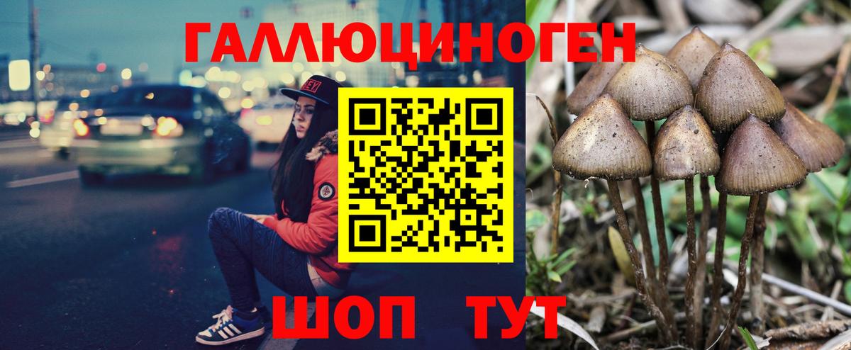 Галлюциногенные грибы MAGIC MUSHROOMS Дзержинск