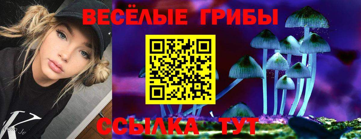 Дзержинск  Галлюциногенные грибы Magic Shrooms  Вход с VPN 